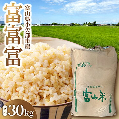 【ふるさと納税】令和8年産 富山県産 「富富富」 玄米 30kg【1779129】