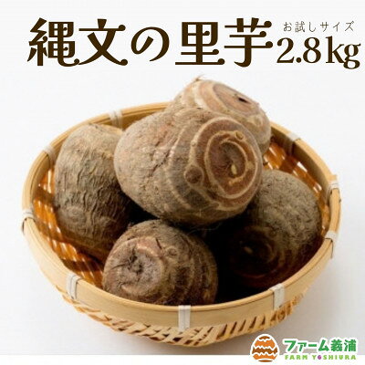 【お試しサイズ】富山県小矢部市産「縄文の里芋」2.8kg【1786989】