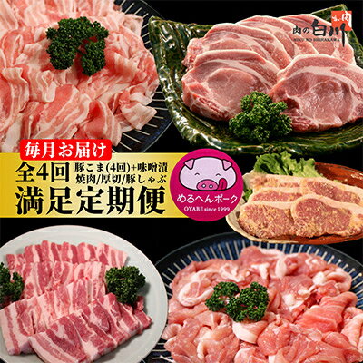 【毎月定期便】メルヘンポーク定期便　豚こま・味噌漬・焼肉・とんかつ・しゃぶしゃぶ全4回【配送不可地域：離島・北海道・沖縄県・東北・中国・四国・九州】【4004678】