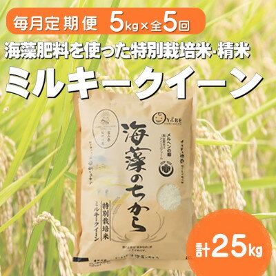 【ふるさと納税】【毎月定期便】ミルキークイーン(海藻のちから)(精米)5kg全5回【4075146】