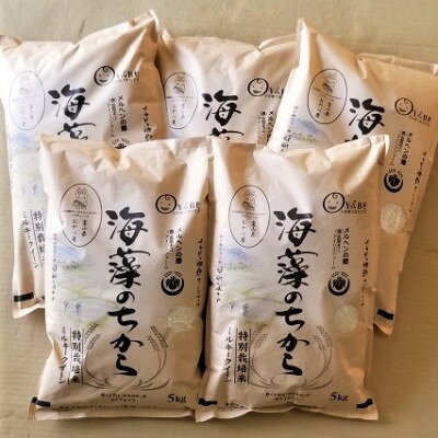 【ふるさと納税】【毎月定期便】ミルキークイーン(海藻のちから)(精米)5kg全5回_ お米 米 ミルキークイーン 国産 美味しい 定期便 【4075146】