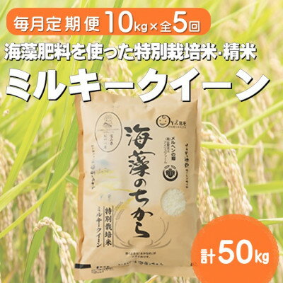 【ふるさと納税】ミルキークイーン1...