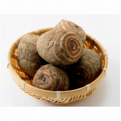 【ふるさと納税】【毎月定期便】里芋「縄文の里芋」5kg全2回【4076779】