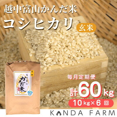 【ふるさと納税】【毎月定期便】鮮度の米　かんだ米『コシヒカリ』　玄米　10kg×1袋全6回【4092390】