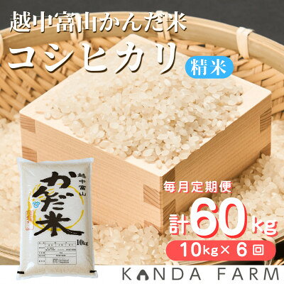 【ふるさと納税】【毎月定期便】鮮度の米　かんだ米『コシヒカリ』　精米　10kg×1袋全6回【4092392】
