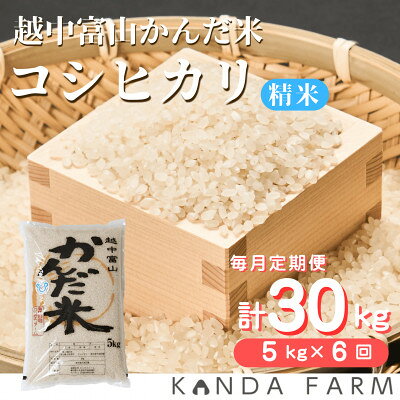 【ふるさと納税】【毎月定期便】鮮度の米　かんだ米『コシヒカリ』　精米　5kg×1袋全6回【4092393】