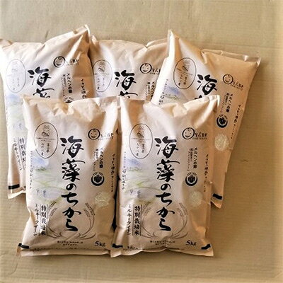 2024年1月発送開始『定期便』ミルキークイーン(海藻のちから)5kg×5ヶ月連続 全5回【5147635】