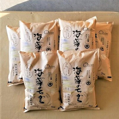2023年11月発送開始『定期便』ミルキークイーン(海藻のちから)5kg×7ヶ月連続 全7回【5147645】