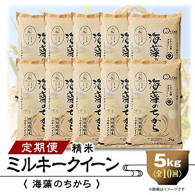 2023年10月発送開始『定期便』ミルキークイーン(海藻のちから)5kg×10ヶ月連続 全10回【5147656】
