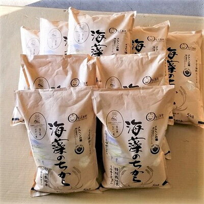 2024年1月発送開始『定期便』ミルキークイーン(海藻のちから)5kg×10ヶ月連続 全10回【5147659】