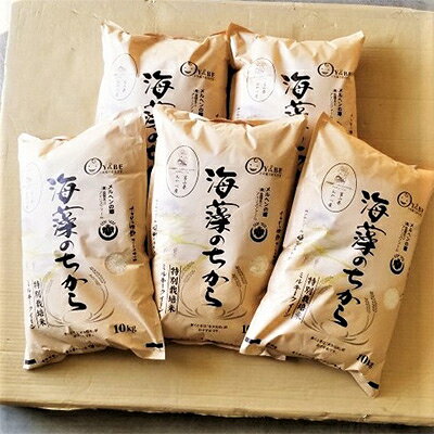 2024年2月発送開始『定期便』ミルキークイーン(海藻のちから)10kg×5ヶ月連続 全5回【5147672】