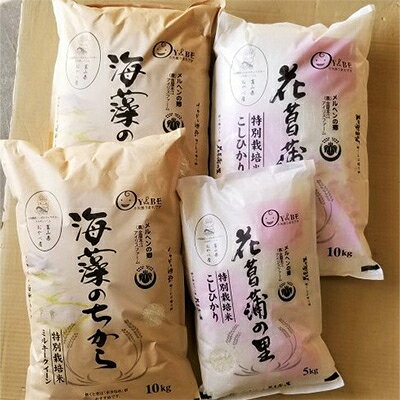 2024年2月発送開始『定期便』特別栽培米2回で計35kg (ミルキークイーン・コシヒカリ)全2回【5147684】