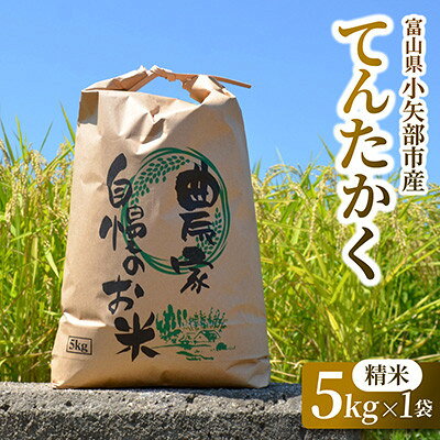 【2026年9月下旬頃から順次発送】令和8年産米「てんたかく」(精米)5kg/10kg/30kg【G1655823】