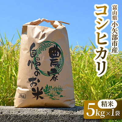 【新米先行予約(2026年10月上旬発送)】令和8年富山県産「コシヒカリ」(精米)5kg～【G1656083】