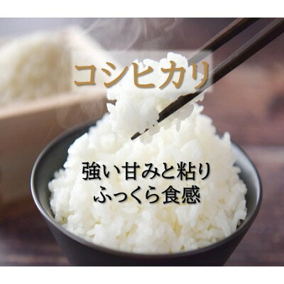 【ふるさと納税】【新米先行予約(2026年10月上旬発送)】令和8年富山県産「コシヒカリ」(精米)5kg～【G1656083】 f162094-oyabe-10001000 富山県小矢部市 サンプル画像2