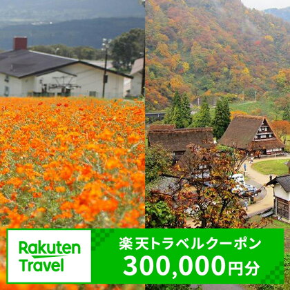 冨山県南砺市の対象施設で使える 楽天トラベルクーポン 寄附額1,000,000円（300,000円クーポン）　【チケット】