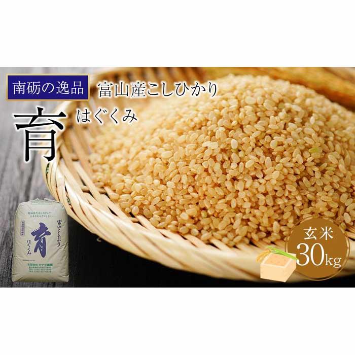 【ふるさと納税】【令和5年産】富山県産こしひかり　育（はぐくみ）玄米30kg《南砺の逸品》