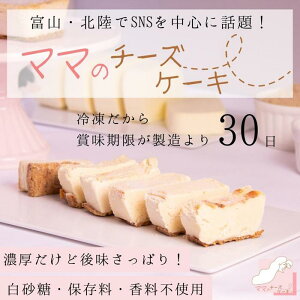 【ふるさと納税】【濃厚だけど後味すっきり!】とろける食感のママのチーズケーキ