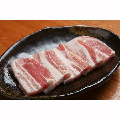 富山県産　南砺ポーク　豚バラ焼肉用1kg