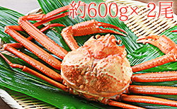 【ふるさと納税】紅ズワイガニ約600g×2尾【安吉水産】　【ずわい蟹・ずわいガニ・ズワイガニ・紅ズワイガニ】　お届け：2021年9月4日から2022年3月31日･･･ 画像1