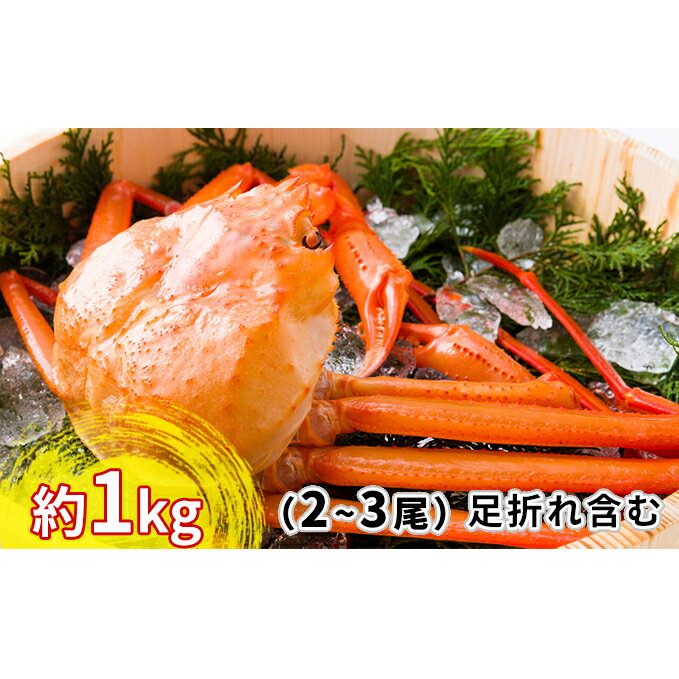 【ふるさと納税】【おすすめ】紅ズワイガニ約1kg（2〜3尾）【棚辺水産】　【ずわい蟹・ずわいガニ・ズワイガニ】　お届け：2021年9月4日から2022年3月31日･･･