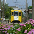 【ふるさと納税】万葉線7000形電車貸切(高岡駅～越ノ潟駅区間内：片道)　【イベントやチケット等 利用券 乗車券】