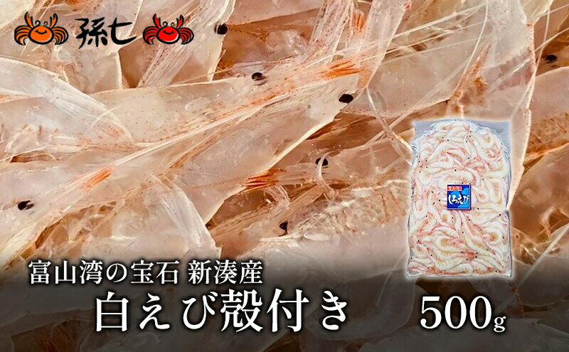 【ふるさと納税】白えび殻付き500g　【海老 エビ 白えび殻付き】