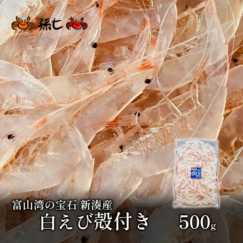 【ふるさと納税】白えび殻付き500g　【海老 エビ 白えび殻付き】