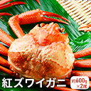 【ふるさと納税】【おすすめ】紅ズワイガニ約600g×2尾　【ずわい蟹・ずわいガニ・ズワイガニ・紅ズワイガニ】　お届け：2022年9月4日から2023年3月31日※発送まで1か月以上かかる場合があります。･･･