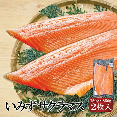 魚 鮭 切身 いみずサクラマス 2枚入(約750g〜約850g)おつまみ 弁当 サーモン グルメ 食品/富山県射水市 [魚介類 魚 サクラマス 安心 安全 業務用 高級魚 桜色]