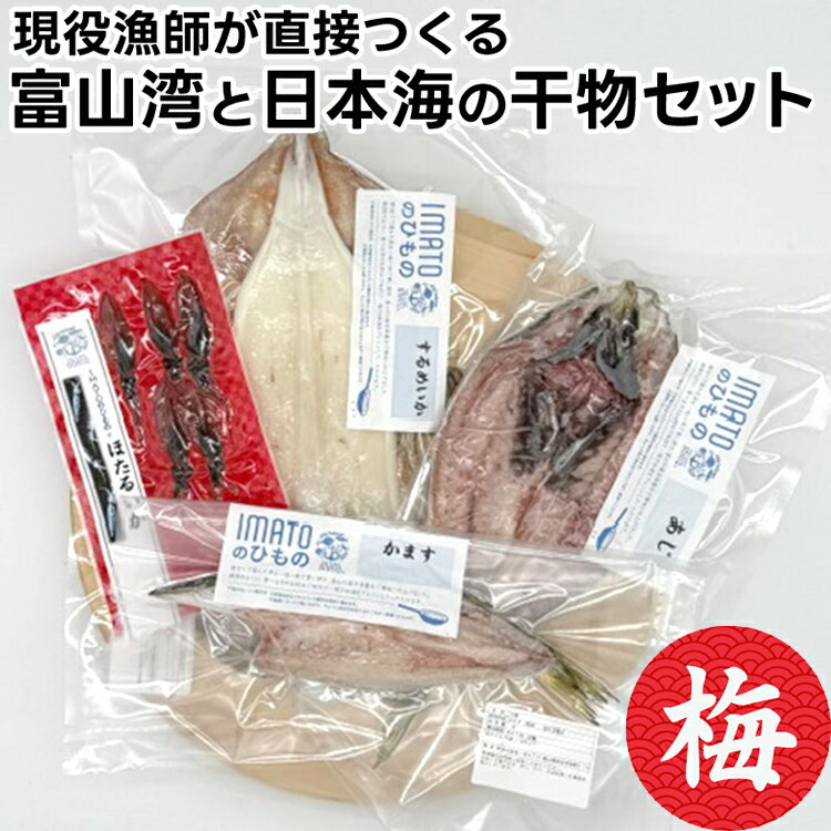 【ふるさと納税】現役漁師が直接つくる富山湾と日本海の干物セット(梅) 魚貝類 アジ 干物 ホッケ 日本海産鮮魚