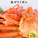 【ふるさと納税】紅ズワイガニ約1kg(2~3尾) ずわい蟹 ずわいガニ ズワイガニ 紅ズワイガニ 約1kg ※2025年9月中旬~2026年3月下旬頃に順次発送予定
