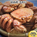 【ふるさと納税】富山産 毛がに約500g×2尾 毛カニ 蟹 ※2025年11月中旬~2026年3月中旬頃に順次発送予定