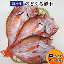 【ふるさと納税】【新湊産】のどぐろ鮮干し(中サイズ4/6尾) 魚貝類 のどぐろ 干物 のどぐろ鮮干し ノドグロ お届け:※出漁・水揚げ状況により、発送までお時間をいただく場合があります。 ※沖縄・離島への配送不可