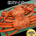 【ふるさと納税】【おすすめ】紅ズワイガニ約600g×2尾【棚辺水産】 ずわい蟹 ずわいガニ ズワイガニ ※2025年9月中旬~2026年3月下旬頃に順次発送予定 ※離島への配送不可