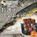【ふるさと納税】【射水市】【射水のおいしい海鮮】【新湊産】特選 ブリしゃぶセット 2人前 ※2025年12月上旬~2026年2月下旬頃に順次発送予定 ※北陸・関東・中部・近畿地方以外への配送不可