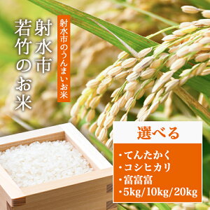 【ふるさと納税】\選べる品種・内容量/【R7年度産米 新米予約】人気のブランド米 コシヒカリ 富富富 てんたかく 「若竹のお米」 5kg 10kg 20kg 【精米】|米 新米 先行予約 令和7年産米 ブランド米 銘柄米 こめ 5キロ 10キロ 20キロ 白米 先行予約 送料無料 富山県 射水市