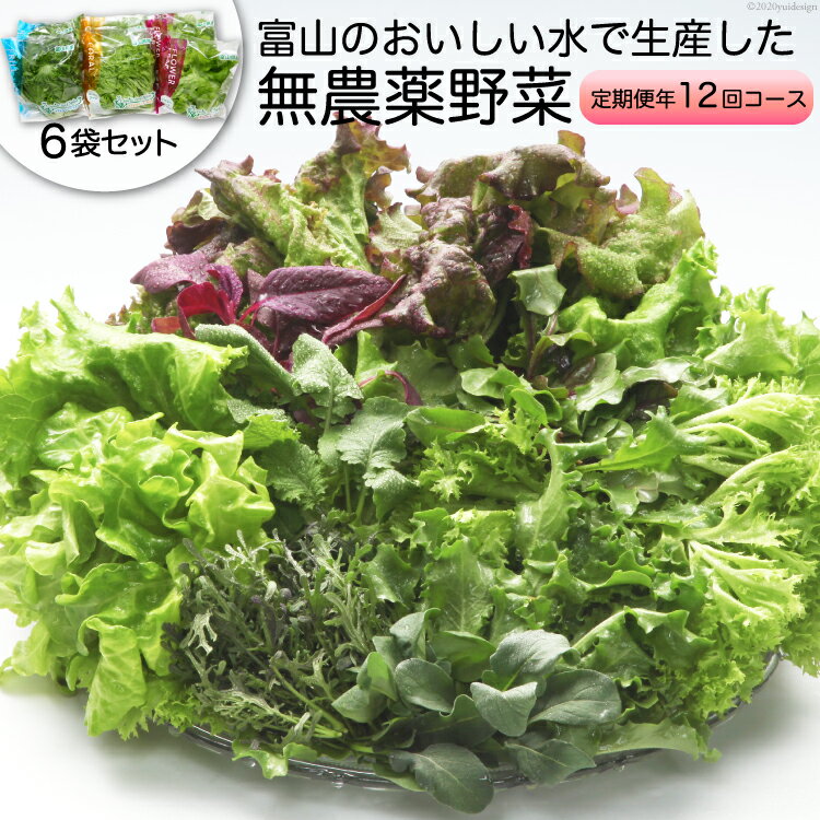 【ふるさと納税】【12回定期便】富山のおいしい水で生産した無農薬野菜(6袋)/北陸機材/富山県舟橋村