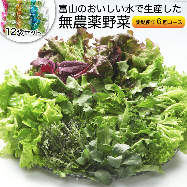 【ふるさと納税】【6回定期便】富山のおいしい水で生産した無農薬野菜(12袋)/北陸機材/富山県舟橋村