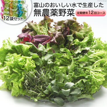 【ふるさと納税】富山のおいしい水で生産した無農薬野菜（12袋）の定期便年12回コース