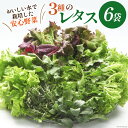 【ふるさと納税】富山のおいしい水で生産した安心野菜（6袋） / 北陸機材 / 富山県 舟橋村 [57050100] 野菜 野菜セット フラワーリーフ..