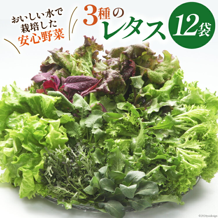 3位! 口コミ数「0件」評価「0」富山のおいしい水で生産した安心野菜（12袋）[北陸機材 富山県 舟橋村 57050150] 野菜 野菜セット フラワーリーフ フリルレタス ･･･ 