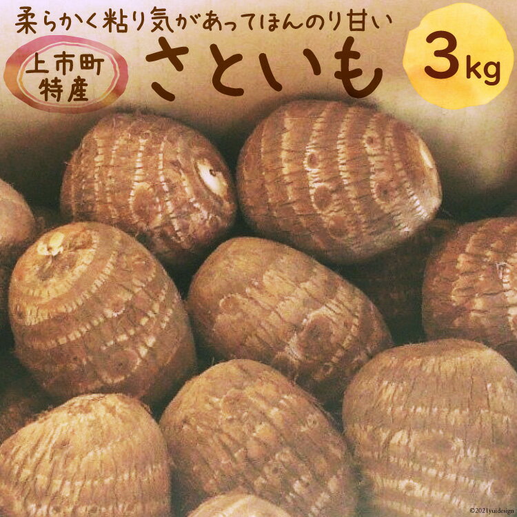 2位! 口コミ数「2件」評価「5」 先行予約 上市町産 さといも 3kg [里山の駅 つるぎの味蔵 富山県 上市町 32280010] 里芋 サトイモ 野菜 美味しい 特産品