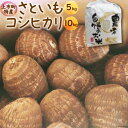 5位! 口コミ数「0件」評価「0」 先行予約 コシヒカリ 10kg さといも 5kg 詰め合わせ [里山の駅 つるぎの味蔵 富山県上市町 32280018] 米 こしひかり ･･･ 