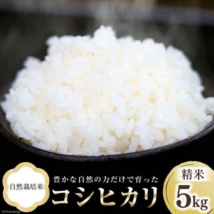 【ふるさと納税】米 富山県産 自然栽培米 コシヒカリ 精米 