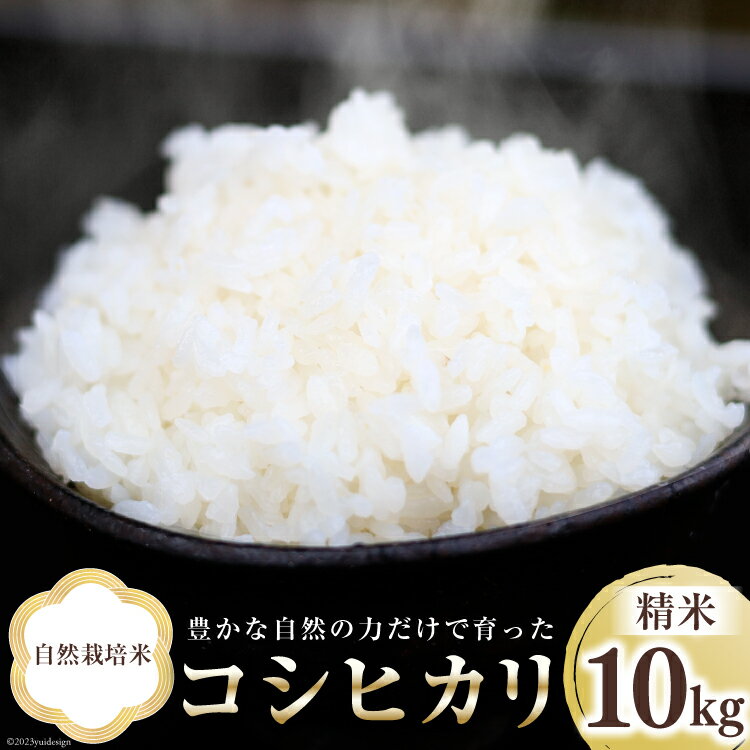 19位! 口コミ数「0件」評価「0」米 富山県産 自然栽培米 コシヒカリ 精米 10kg×1袋 [3ways 富山県 上市町 32280142] お米 コメ 白米 ご飯 ごはん･･･ 