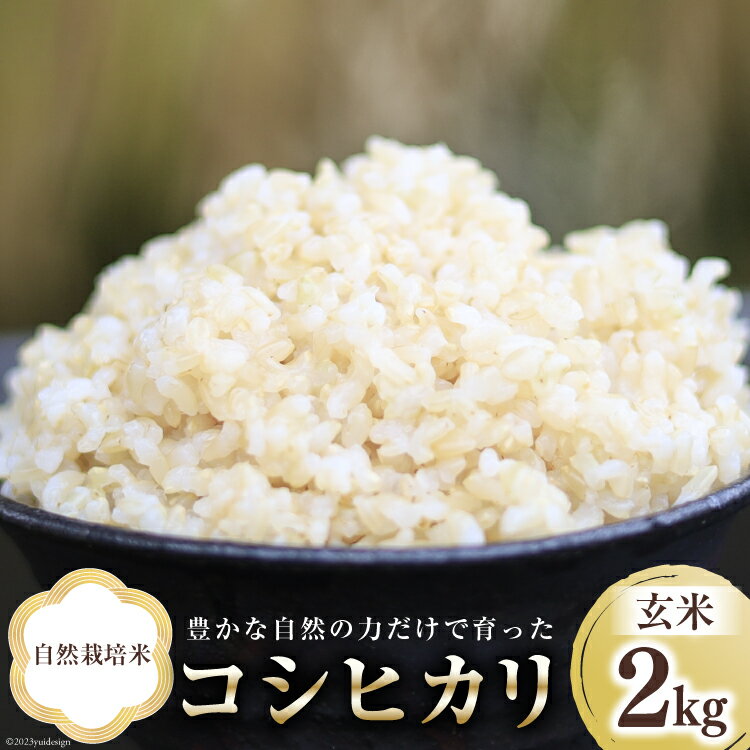 35位! 口コミ数「0件」評価「0」米 富山県産 自然栽培米 コシヒカリ 玄米 2kg×1袋 [ 3ways 富山県 上市町 32280144 ] お米 コメ ご飯 ごはん 玄･･･ 