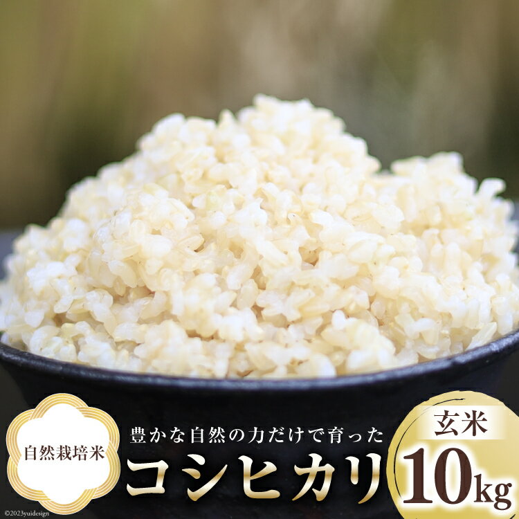 10位! 口コミ数「0件」評価「0」米 富山県産 自然栽培米 コシヒカリ 玄米 10kg×1袋 [ 3ways 富山県 上市町 32280146 ] お米 コメ ご飯 ごはん ･･･ 