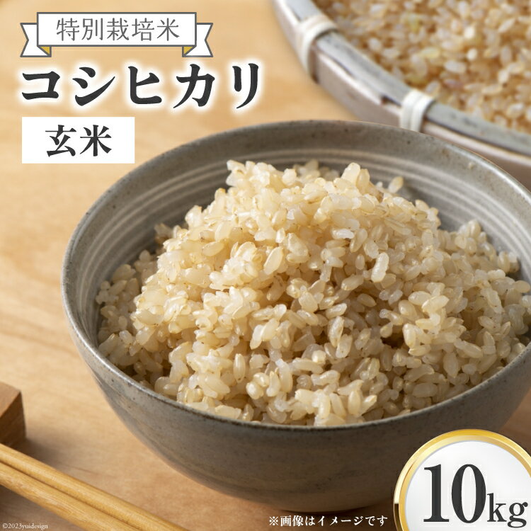 4位! 口コミ数「0件」評価「0」米 上市町西種産 特別栽培米 コシヒカリ 玄米 10kg [種農園 富山県 上市町 32280153] お米 コメ ご飯 ごはん こしひかり･･･ 