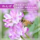 富山県立山町の画像3